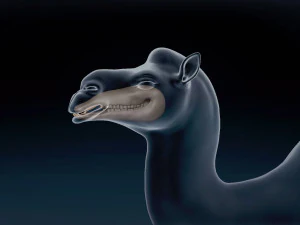 Bactrian Camel Base Mesh 3D Model