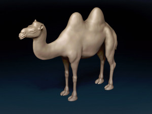 Bactrian Camel Base Mesh Model 3D