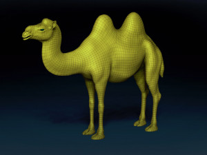 Bactrian Camel Base Mesh Model 3D