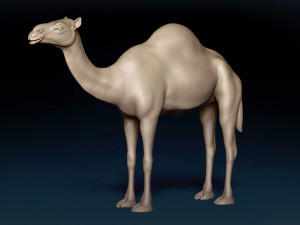 Camel Base Mesh 3D Model