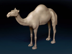 Camel Base Mesh 3D Model