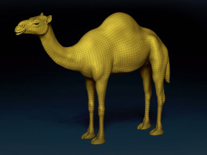 Camel Base Mesh 3D Model