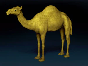 Camel Base Mesh 3D Model