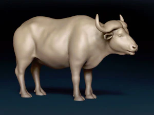 African Buffalo Base Mesh 3D Model