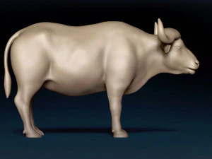 African Buffalo Base Mesh 3D Model