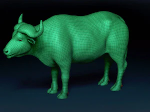 African Buffalo Base Mesh 3D Model