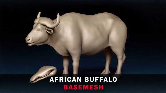 African Buffalo Base Mesh 3D Model .c4d .max .obj .3ds .fbx .stl .blend 