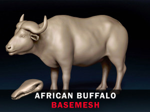 African Buffalo Base Mesh 3D Model