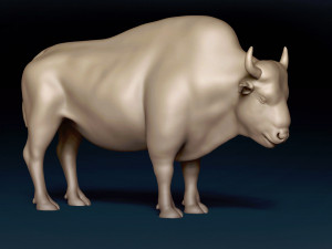 American Bison Base Mesh 3D Model