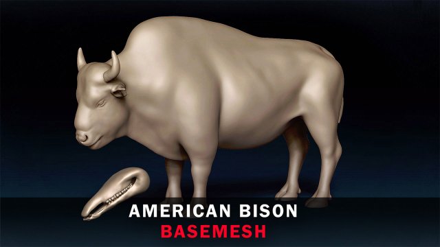 American Bison Base Mesh 3D Model .c4d .max .obj .3ds .fbx .stl .blend 