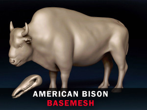 American Bison Base Mesh 3D Model