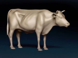 Cow Base Mesh 3D Model