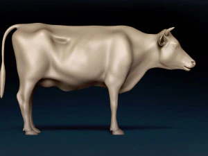 Cow Base Mesh 3D Model