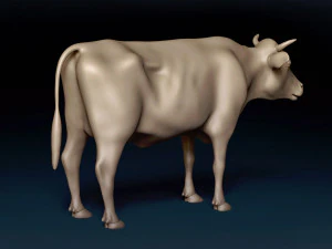 Cow Base Mesh 3D Model