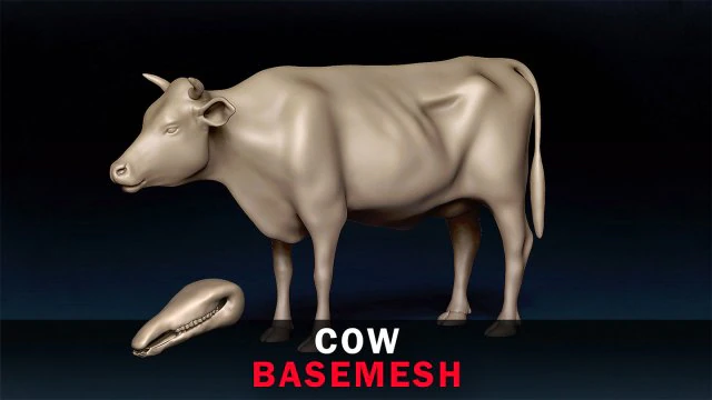 Cow Base Mesh 3D Model .c4d .max .obj .3ds .fbx .stl .blend 