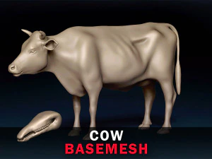 Cow Base Mesh 3D Model