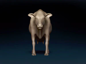 Dairy Cow Base Mesh 3D Model