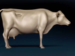 Dairy Cow Base Mesh 3D Model