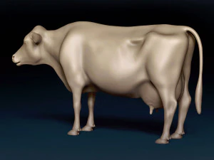 Dairy Cow Base Mesh 3D Model