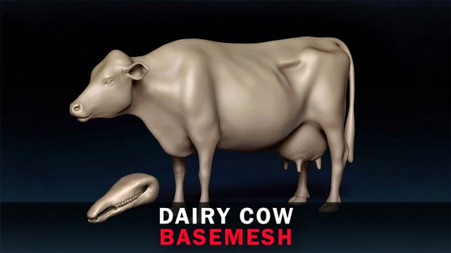 Dairy Cow Base Mesh 3D Model .c4d .max .obj .3ds .fbx .stl .blend 