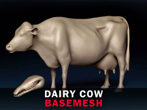 Dairy Cow Base Mesh 3D Model