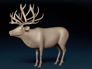 Caribou Base Mesh Modelo 3D