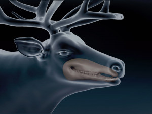Caribou Base Mesh Modelo 3D