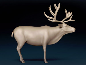 Caribou Base Mesh Modelo 3D