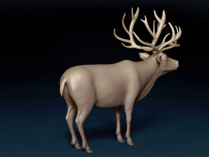 Caribou Base Mesh Modelo 3D