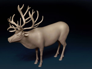 Caribou Base Mesh Modelo 3D