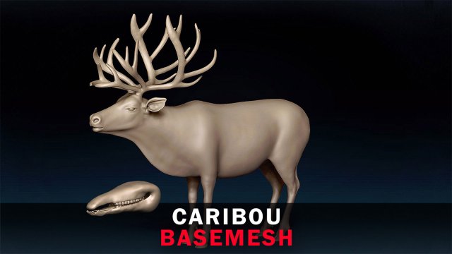 Caribou Base Mesh Modelo 3D .c4d .max .obj .3ds .fbx .stl .blend 