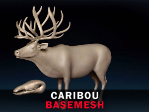 Caribou Base Mesh 3D Model