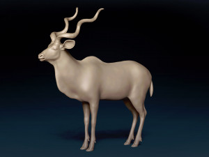 Kudu Antelope Base Mesh 3D-Modell