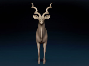 Kudu Antelope Base Mesh 3D-Modell