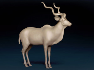 Kudu Antelope Base Mesh 3D-Modell