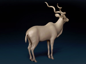 Kudu Antelope Base Mesh 3D-Modell