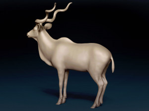 Kudu Antelope Base Mesh 3D-Modell