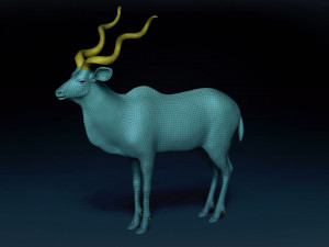 Kudu Antelope Base Mesh 3D-Modell