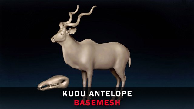 Kudu Antelope Base Mesh 3D-Modell .c4d .max .obj .3ds .fbx .stl .blend 