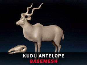 Kudu Antelope Base Mesh 3Dモデル