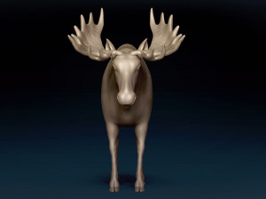 Moose Base Mesh Modelo 3D