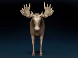 Maglia base alce Modello 3D