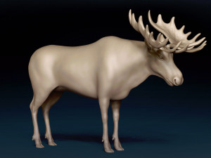 Moose Base Mesh Modelo 3D