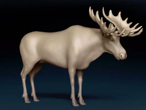 Maglia base alce Modello 3D