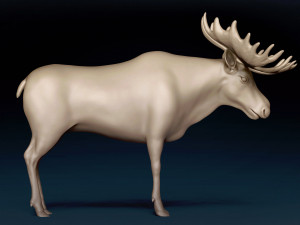 Moose Base Mesh Modelo 3D