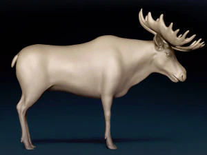 Maglia base alce Modello 3D