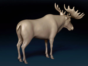 Moose Base Mesh Modelo 3D