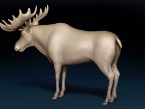 Moose Base Mesh Modelo 3D