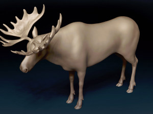 Moose Base Mesh Modelo 3D