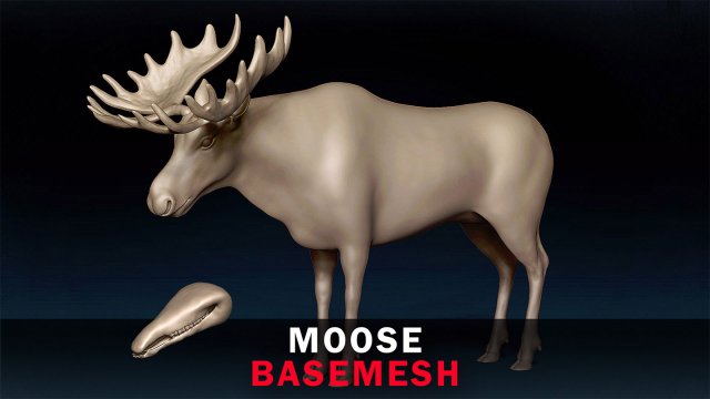 Moose Base Mesh Modelo 3D .c4d .max .obj .3ds .fbx .stl .blend 